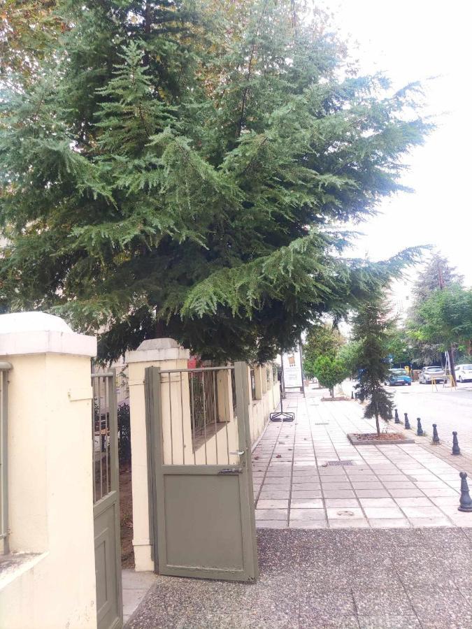 Incognito Διαμέρισμα Θεσσαλονίκη Εξωτερικό φωτογραφία